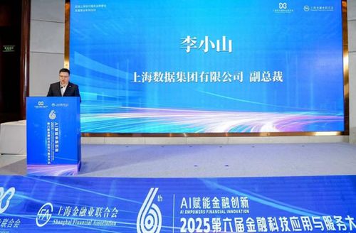 AI賦能金融創新 2025第六屆金融科技應用與服務大會聚焦信息技術咨詢服務新范式